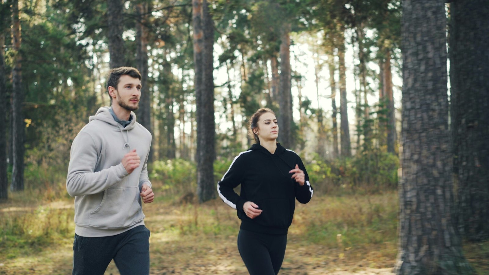 vitaly-gariev-6e9QitLgitY-unsplash